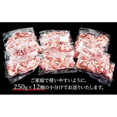 農場直送!!千葉県産 豚肉 小間切れ 小分け 3kg飯田プレミアムポーク [54020400]