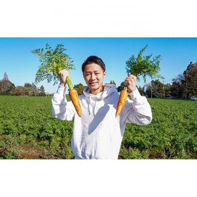 野菜ジュース 冷凍にんじんジュース 完全無添加　 [54020151]