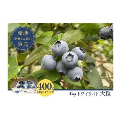 フレッシュブルーベリー(トワイライト大粒　100g×4) [54020532]