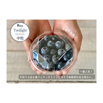 フレッシュブルーベリー　(トワイライト中粒100g×4) [54020533]
