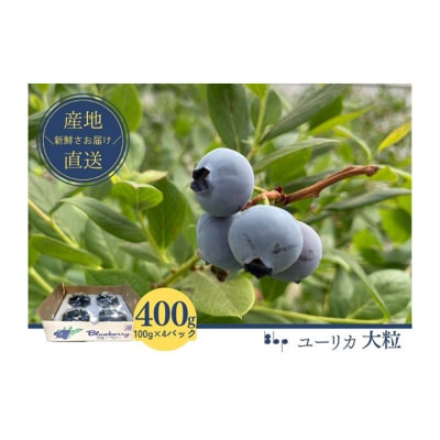 【先行予約】フレッシュブルーベリー　(ユーリカ大粒100g×4) [54020534]