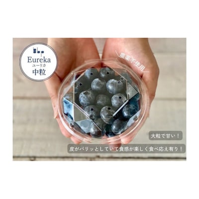 【先行予約】フレッシュブルーベリー　(ユーリカ中粒100g×4) [54020535]