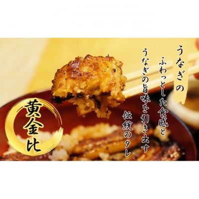 国産うなぎ 菊屋謹製 鰻蒲焼 3人前 セット 冷蔵 3尾[54020611]