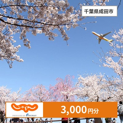 【じゃらんふるさと納税クーポン】 千葉県成田市でつかえる3,000円 クーポン