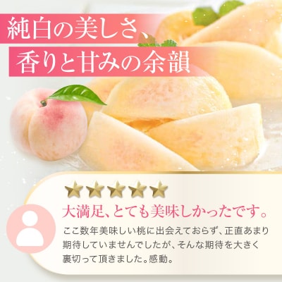桃 赤磐の 白桃 約1.5kg 5～7玉 糖度センサー選果  2026年[NO5765-0473]