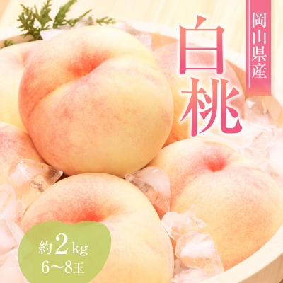桃 赤磐の 白桃 約2.0kg 6～8玉 糖度センサー選果  2026年[NO5765-0474]