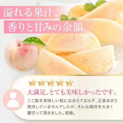 桃 赤磐の 白桃 約2.0kg 6～8玉 糖度センサー選果  2026年[NO5765-0474]