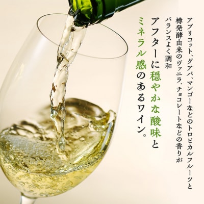 限定椀子シャルドネ ブロック2 750ml シャトー・メルシャン シャルドネ白[54040411]