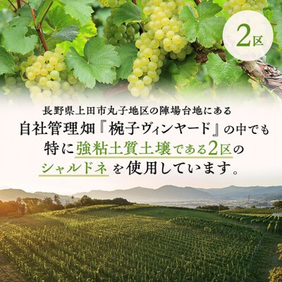 限定椀子シャルドネ ブロック2 750ml シャトー・メルシャン シャルドネ白[54040411]