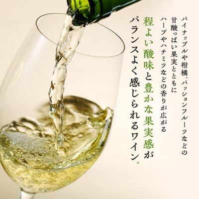 椀子ソーヴィニヨン・ブラン 750ml シャトー・メルシャン ソーヴィニヨン 白[54040414]