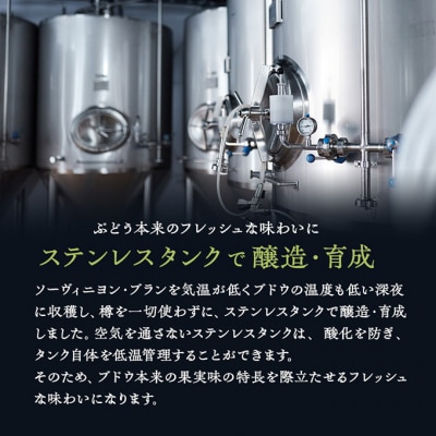 椀子ソーヴィニヨン・ブラン 750ml シャトー・メルシャン ソーヴィニヨン 白[54040414]
