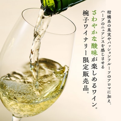 椀子ソーヴィニヨン・ブランミッドナイト・ハーベストアンウッデッド 750ml 白[54040415]
