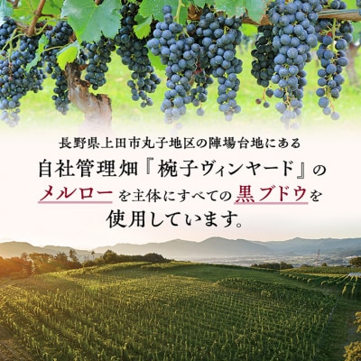 椀子メルロー 750ml シャトー・メルシャン メルロー 赤ワイン[54040419]