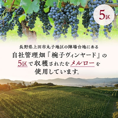シャトー・メルシャン　椀子メルロー　ブロック5　[54040423]