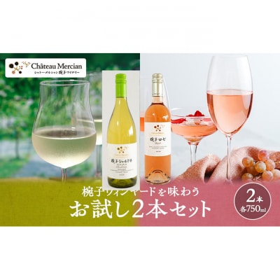 限定 ワイン 椀子ヴィンヤードを味わうお試し セット 2本 [54040427]