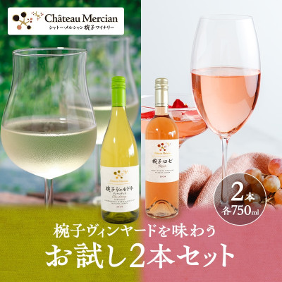 限定 ワイン 椀子ヴィンヤードを味わうお試し セット 2本 [54040427]