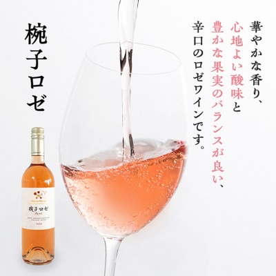 限定 ワイン 椀子ヴィンヤードを味わうお試し セット 2本 [54040427]