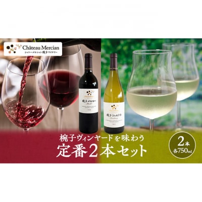 限定 ワイン 椀子ヴィンヤードを味わう定番 セット 2本[54040428]