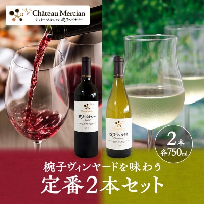 限定 ワイン 椀子ヴィンヤードを味わう定番 セット 2本[54040428]