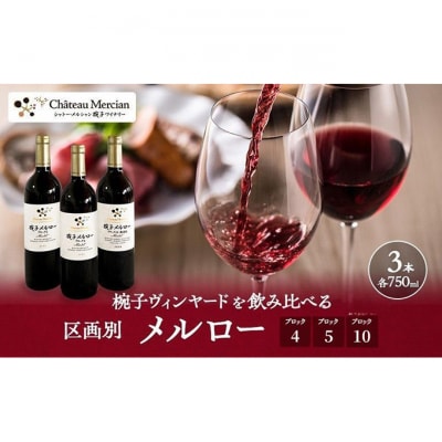限定 年ヴィンテージの限定品区画別メルロー 3本セット メルロー 750ml 赤[54040431]