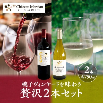 限定 ワイン 椀子ヴィンヤードを味わう贅沢 2本 セット[54040434]