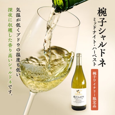 限定 ワイン 椀子ヴィンヤードを味わう贅沢 2本 セット[54040434]