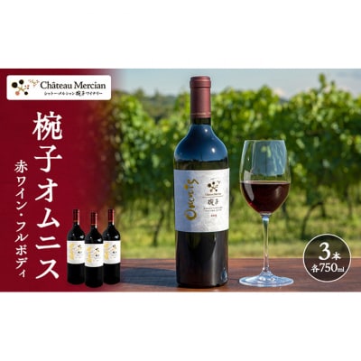 ワイン 椀子オムニス 3本 セット 750ml シャトー・メルシャン 赤[54040439]