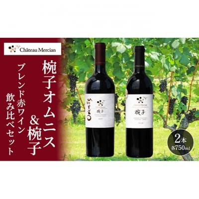 赤ワイン 飲み比べセット 750ml 2本セット[54041116]