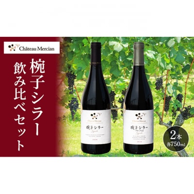 赤ワイン 飲み比べセット 750ml 2本セット[54041117]