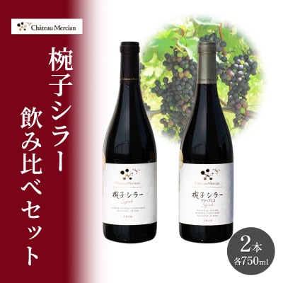 赤ワイン 飲み比べセット 750ml 2本セット[54041117]