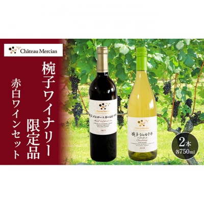 ワイン 飲み比べセット 750ml 2本セット 赤ワイン 白ワイン 赤白セット[54041118]