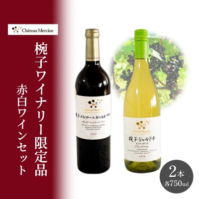 ワイン 飲み比べセット 750ml 2本セット 赤ワイン 白ワイン 赤白セット[54041118]