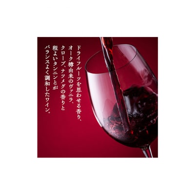 ワイン 飲み比べセット 750ml 2本セット 赤ワイン 白ワイン 赤白セット[54041118]