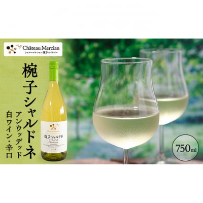 ワイン 飲み比べセット 750ml 2本セット 赤ワイン 白ワイン 赤白セット[54041118]