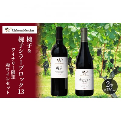 限定 赤ワイン 飲み比べセット 750ml 2本 セット[54041119]