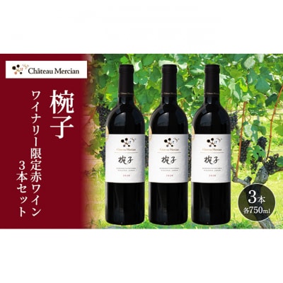 限定 赤ワイン 750ml 3本セット[54041121]