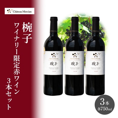 限定 赤ワイン 750ml 3本セット[54041121]