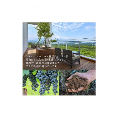 限定 赤ワイン 750ml 3本セット[54041121]