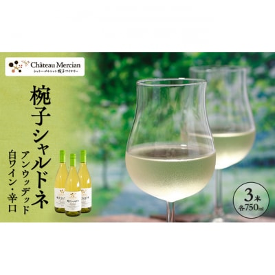 ワイン 椀子シャルドネ アンウッデッド 750ml 3本 [54041142]