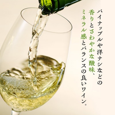 ワイン 椀子シャルドネ アンウッデッド 750ml 3本 [54041142]