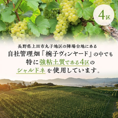 限定 ワイン 椀子シャルドネ ブロック4 750ml 3本[54041146]