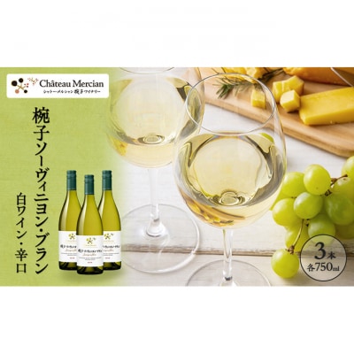 ワイン 椀子ソーヴィニヨン・ブラン 750ml 3本 [54041147]