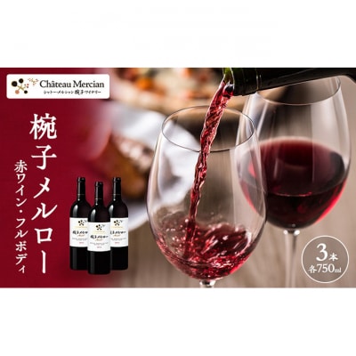 椀子メルロー 750ml 3本 赤ワイン [54041150]
