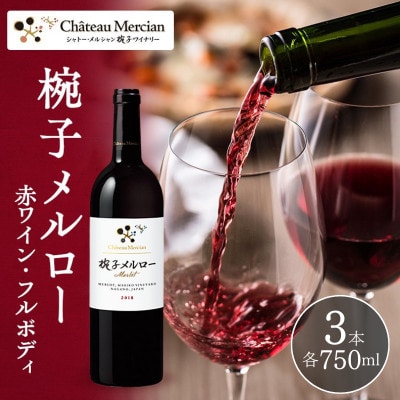 椀子メルロー 750ml 3本 赤ワイン [54041150]
