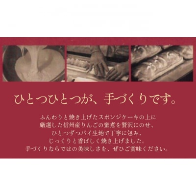 手づくり 信州りんごパイケーキ 1本入 2個セット[54040731]