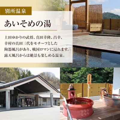 旅行 長野 温泉施設 4館共通 入館券 11枚組[54040255]