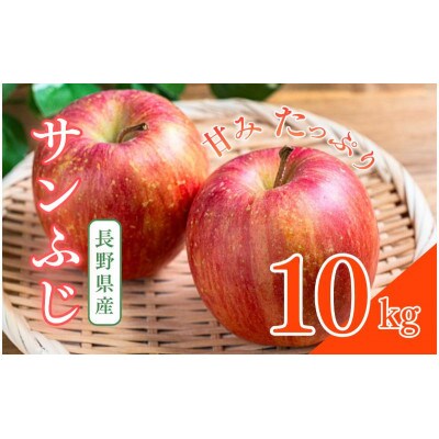 サンふじ　10kg　[54041516]