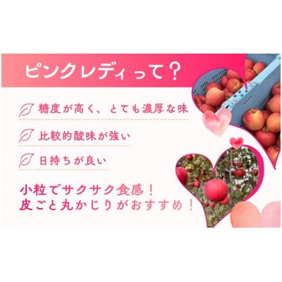 ピンクレディー(R)　5kg　[54041517]