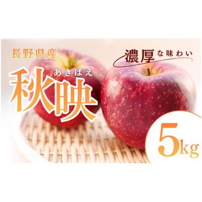 秋映　5kg　[54041518]