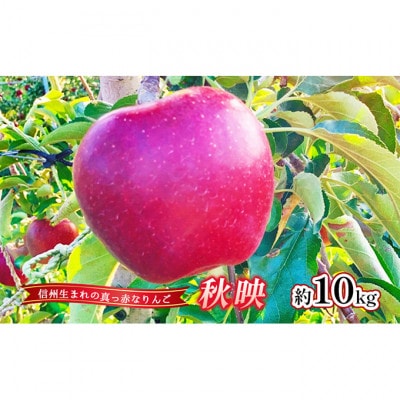 【2026年産】りんご 秋映 約10kg[54040804]